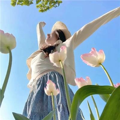 狮子护卫队第一季