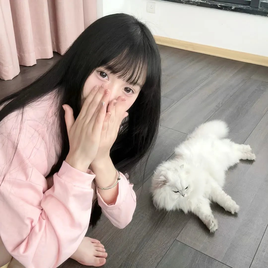 水龙吟